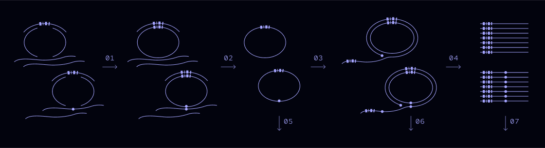 Image describing technical bridge capture